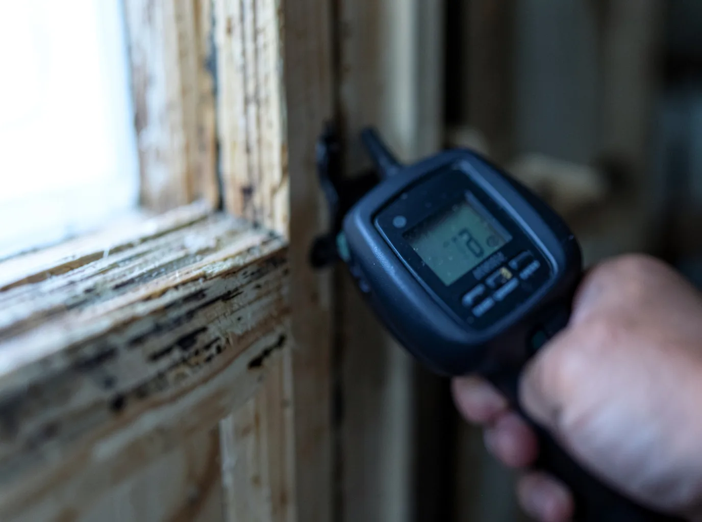 Moisture Inspection And Documentation in Richmond, MA